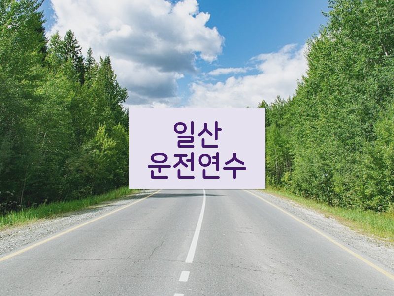 일산운전연수 후기