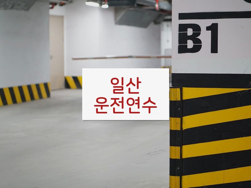 일산운전연수 후기