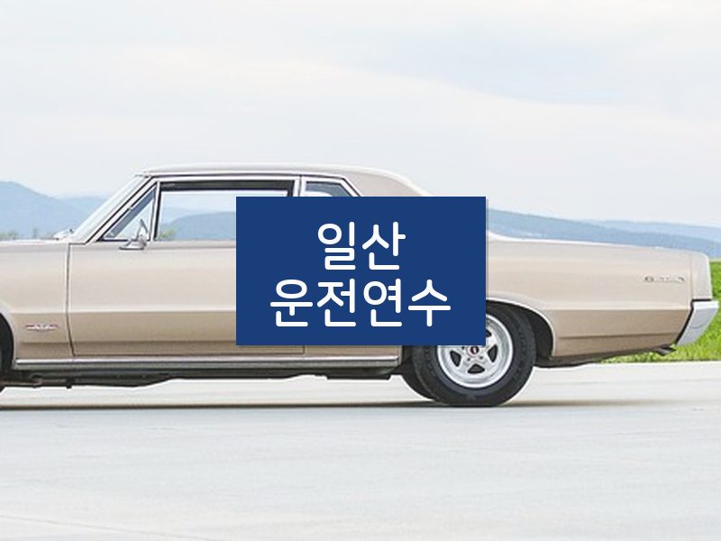 일산운전연수 후기