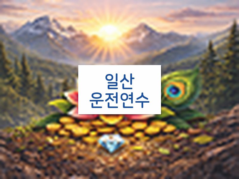 일산운전연수 후기
