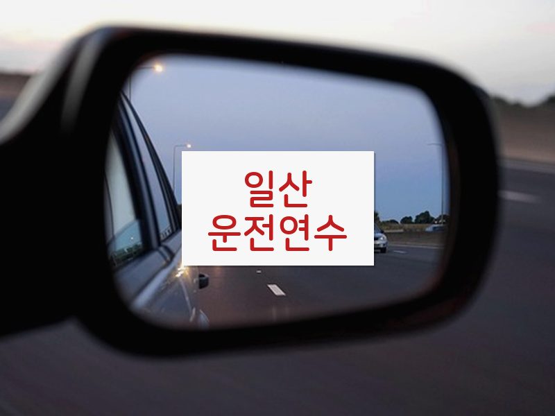일산운전연수 후기