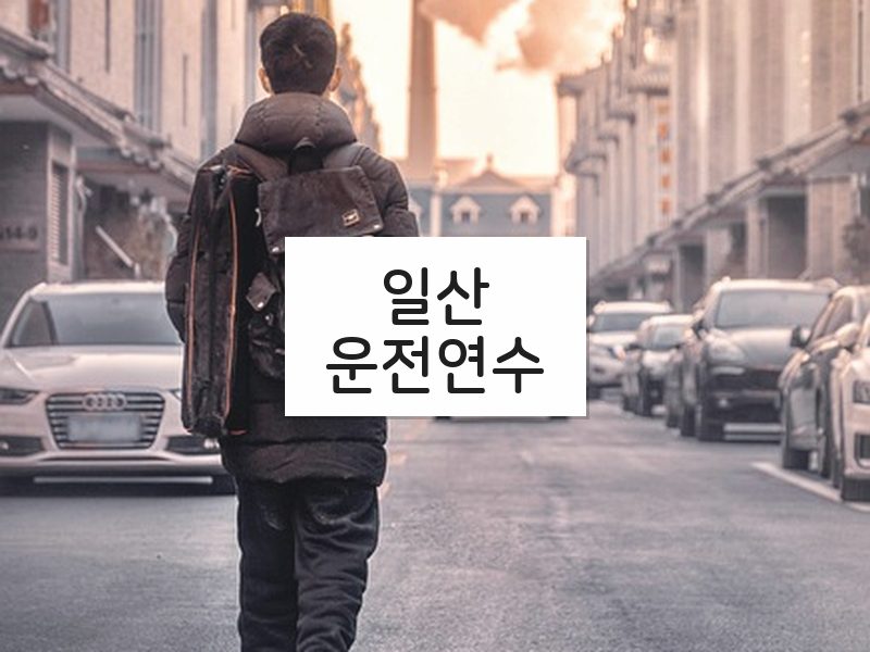 일산운전연수 후기