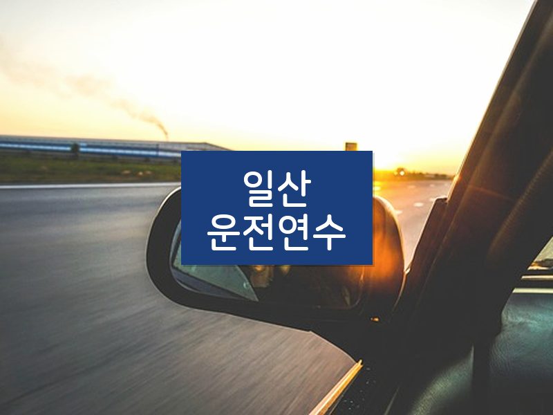 일산운전연수 후기