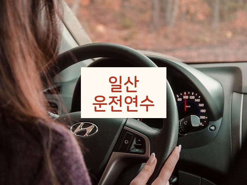 일산운전연수 후기