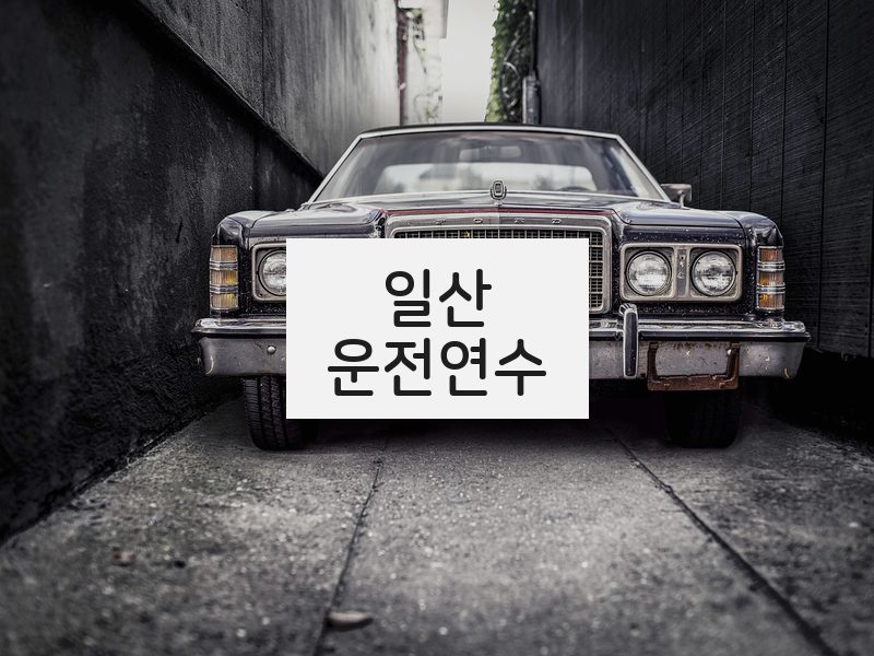 일산운전연수 후기