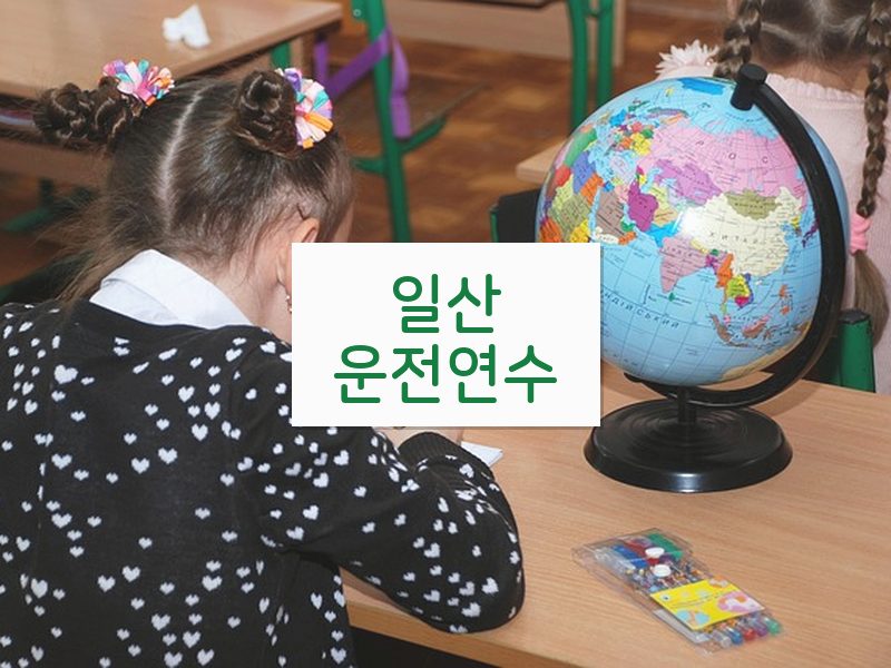 일산운전연수 후기