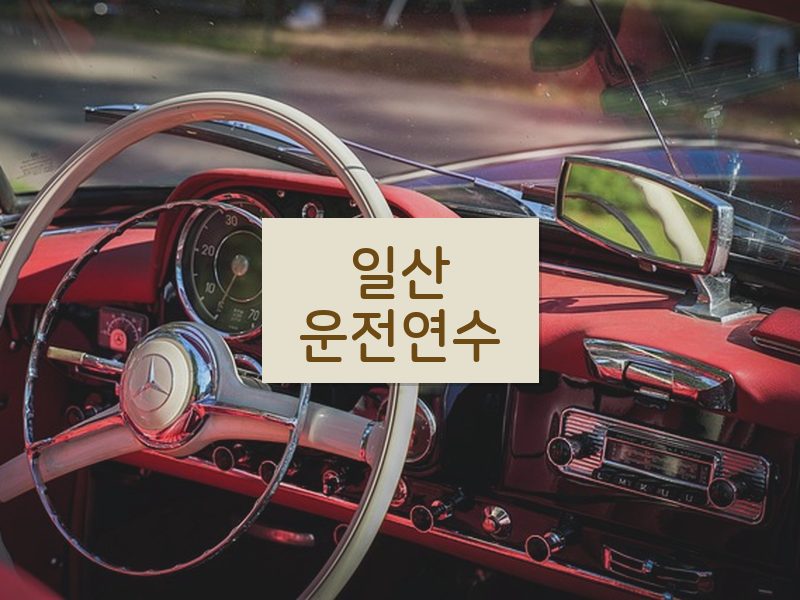 일산운전연수 후기
