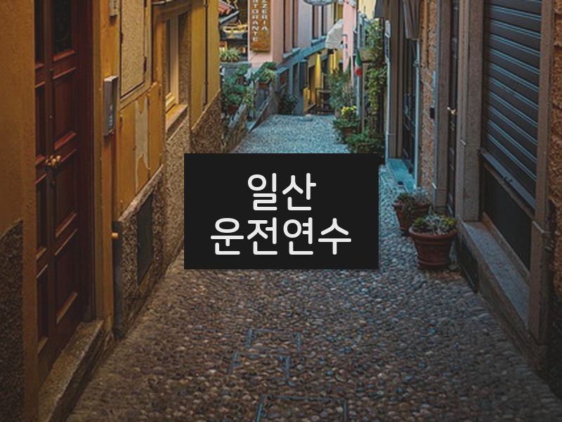 일산운전연수 후기