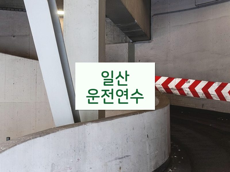 일산운전연수 후기