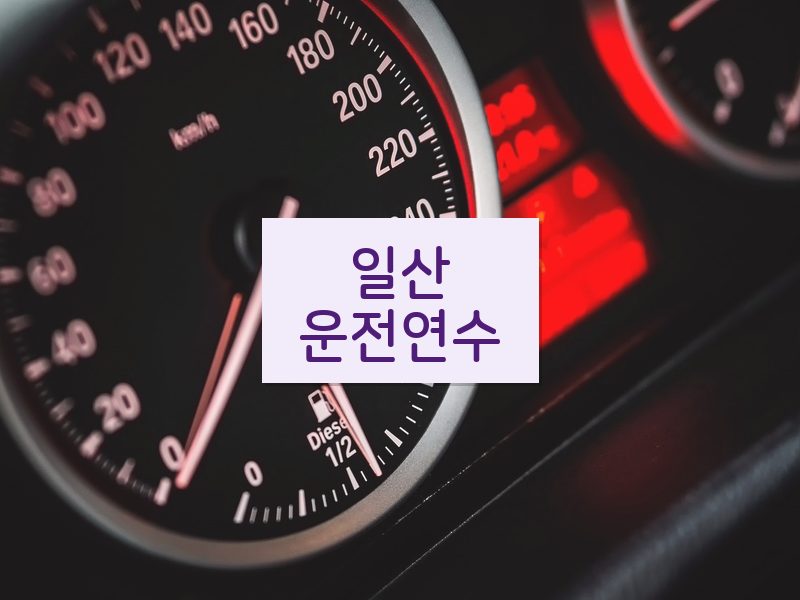 일산운전연수 후기