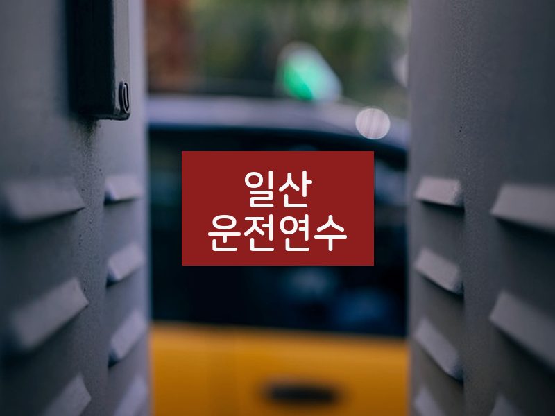 일산운전연수 후기