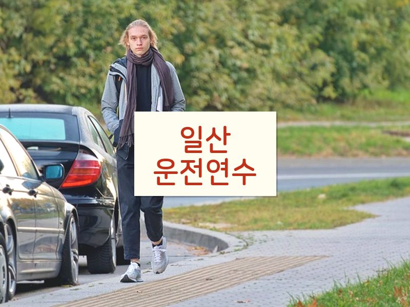일산운전연수 후기
