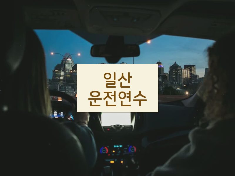 일산운전연수 후기