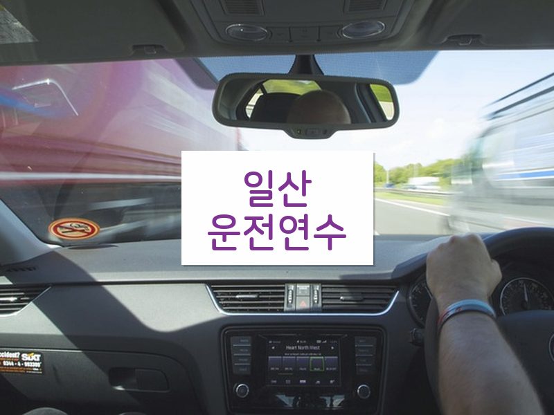 일산운전연수 후기