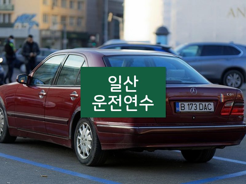 일산운전연수 후기