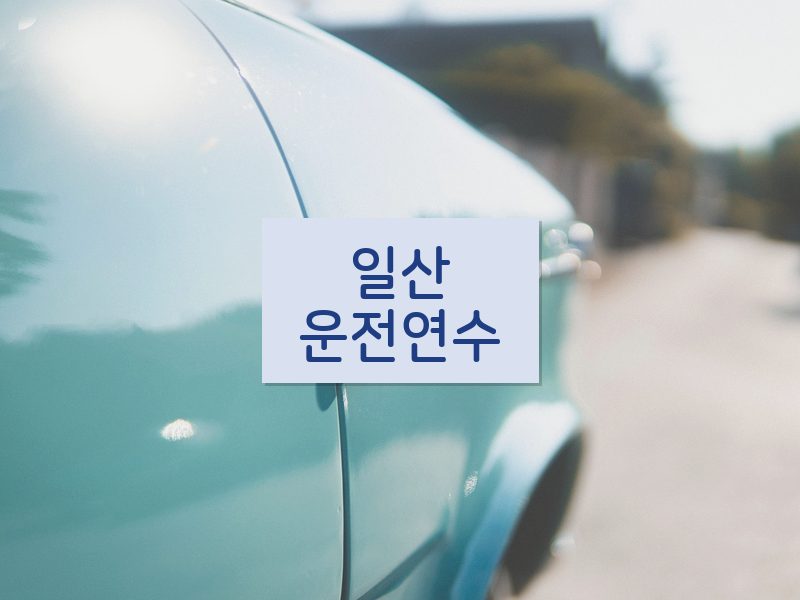 일산운전연수 후기