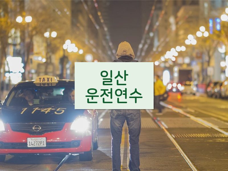 일산운전연수 후기