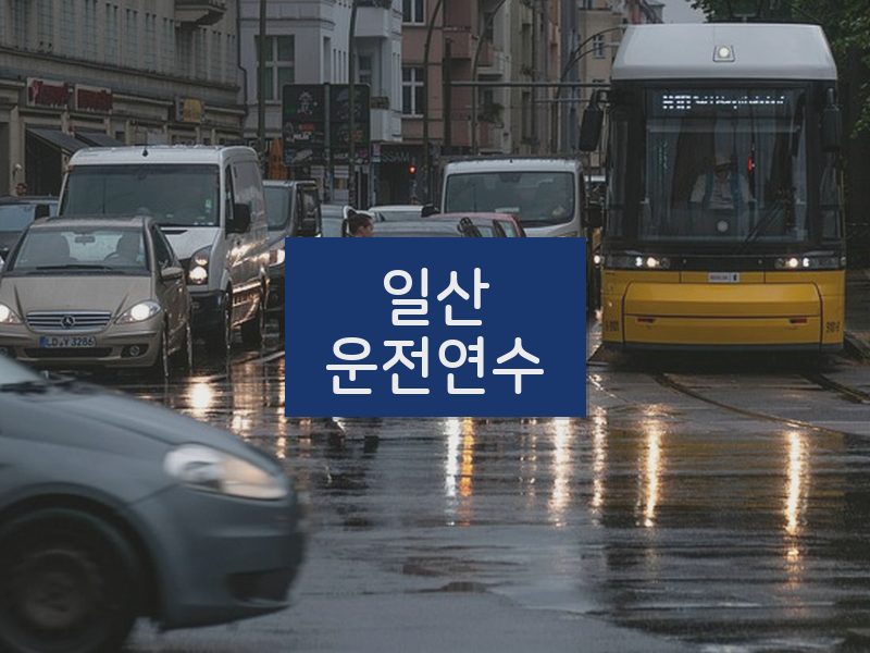 일산운전연수 후기