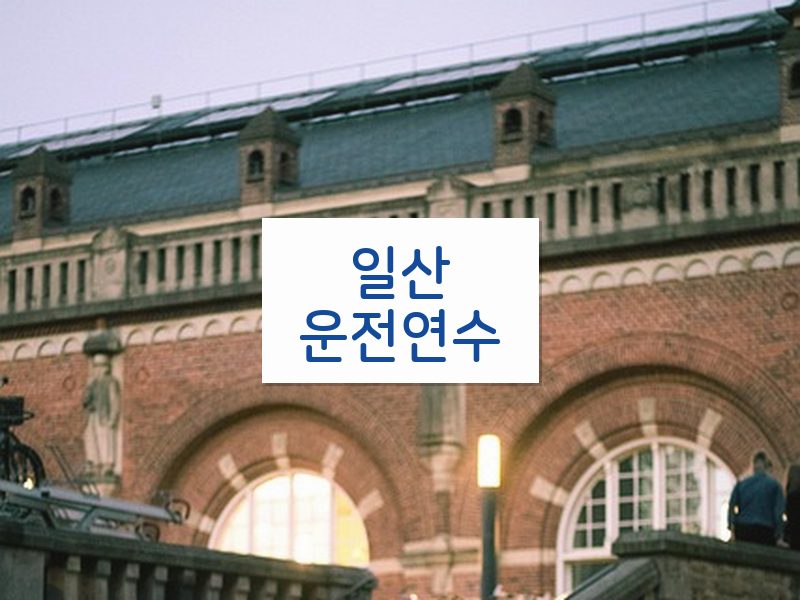 일산운전연수 후기