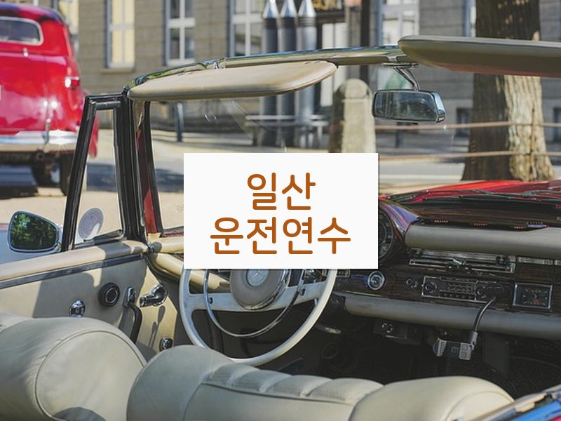 일산운전연수 후기