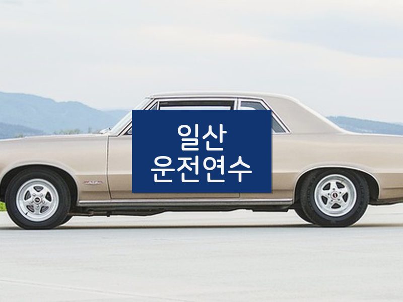 일산운전연수 후기
