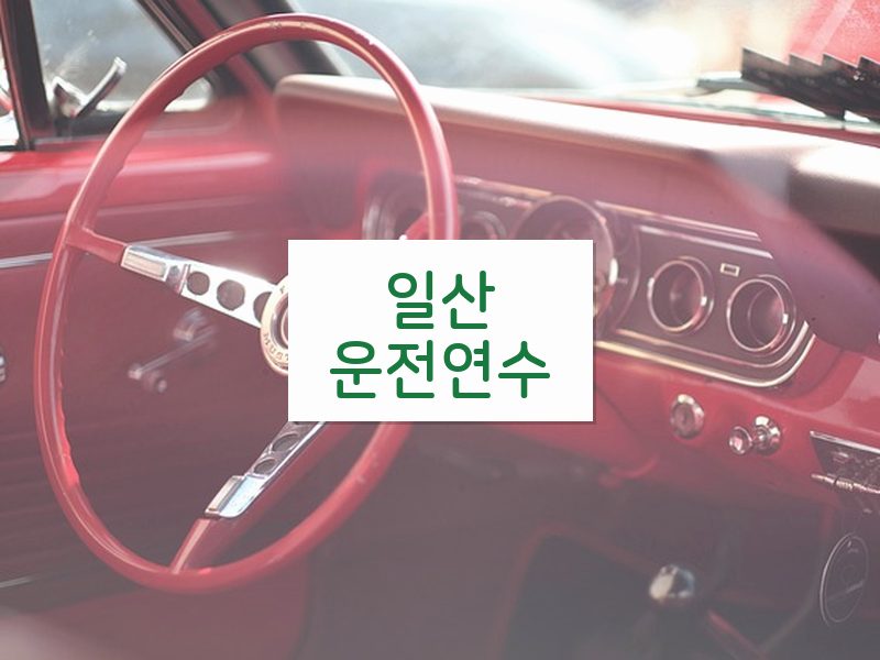 일산운전연수 후기