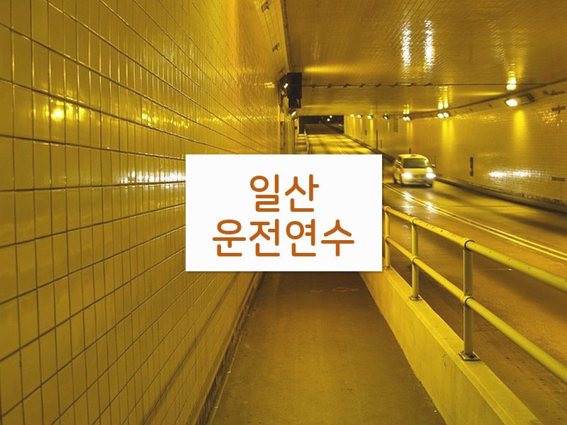 일산운전연수 후기