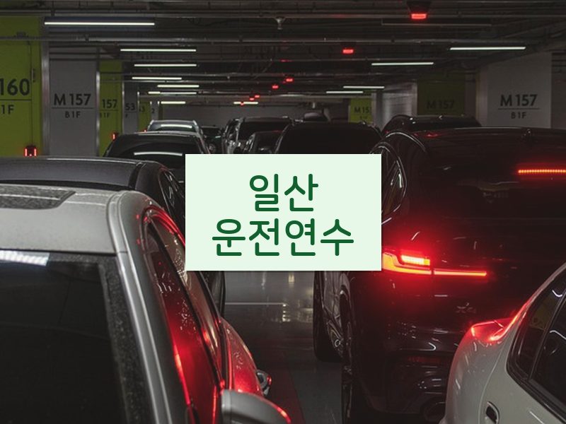 일산운전연수 후기