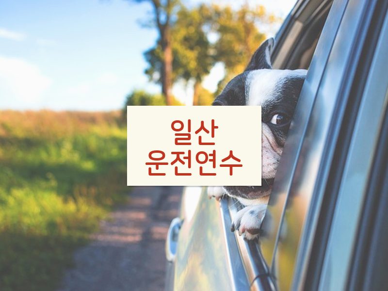 일산운전연수 후기