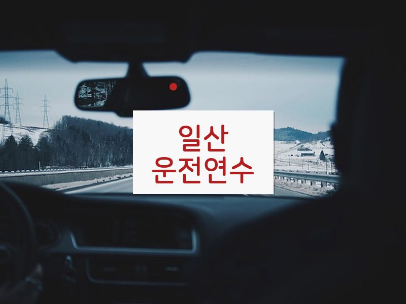 일산운전연수 후기