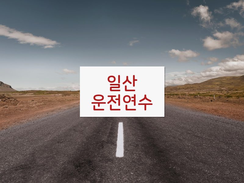 일산운전연수 후기