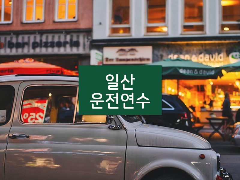 일산운전연수 후기