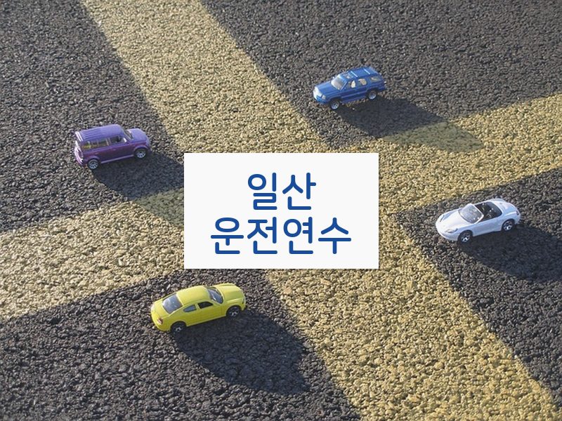 일산운전연수 후기