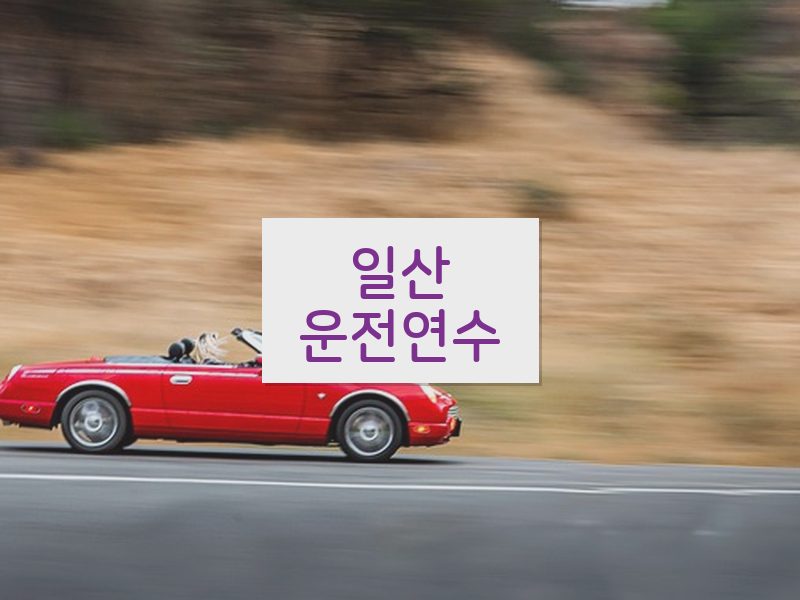 일산운전연수 후기
