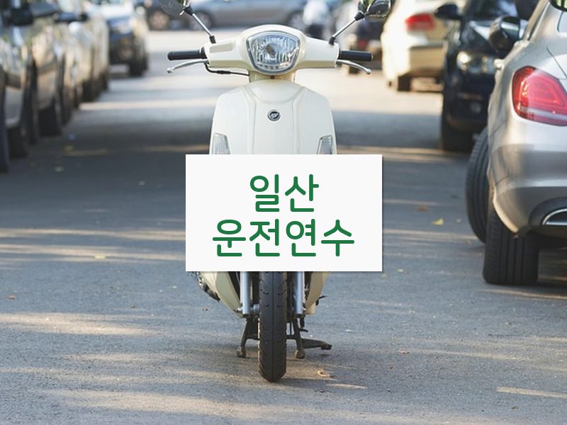일산운전연수 후기