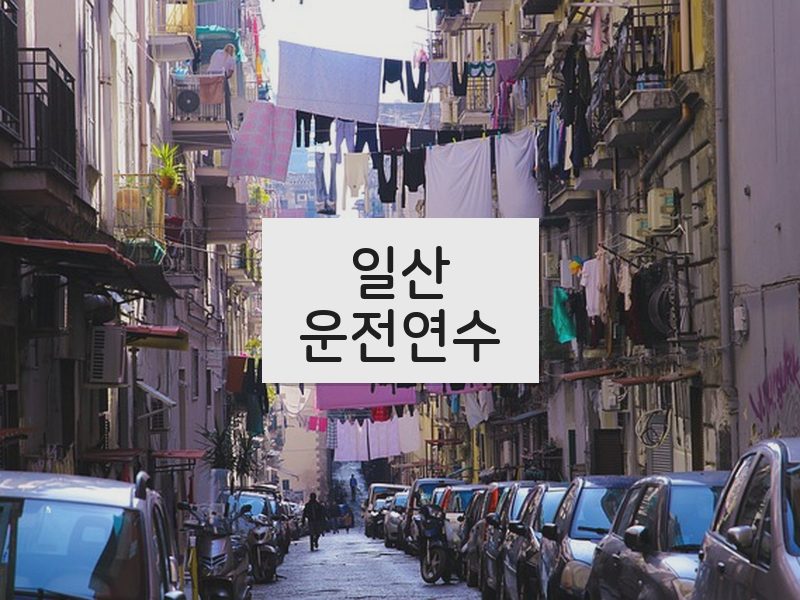 일산운전연수 후기