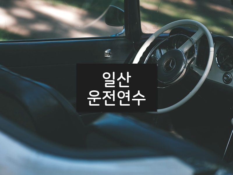 일산운전연수 후기