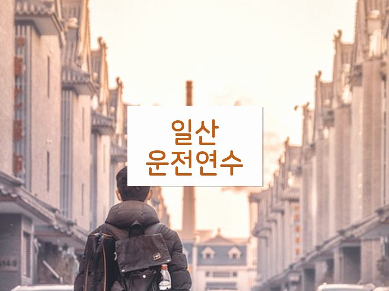 일산운전연수 후기