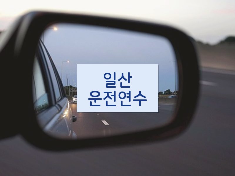 일산운전연수 후기