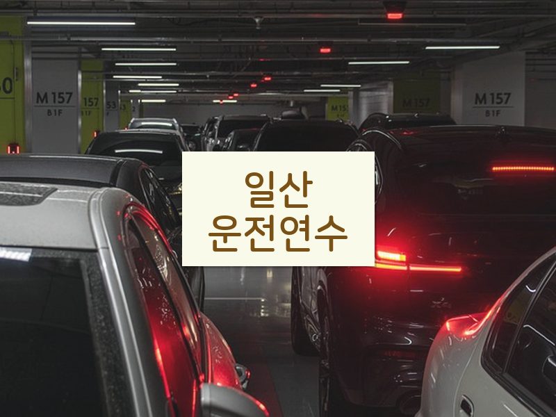 일산운전연수 후기
