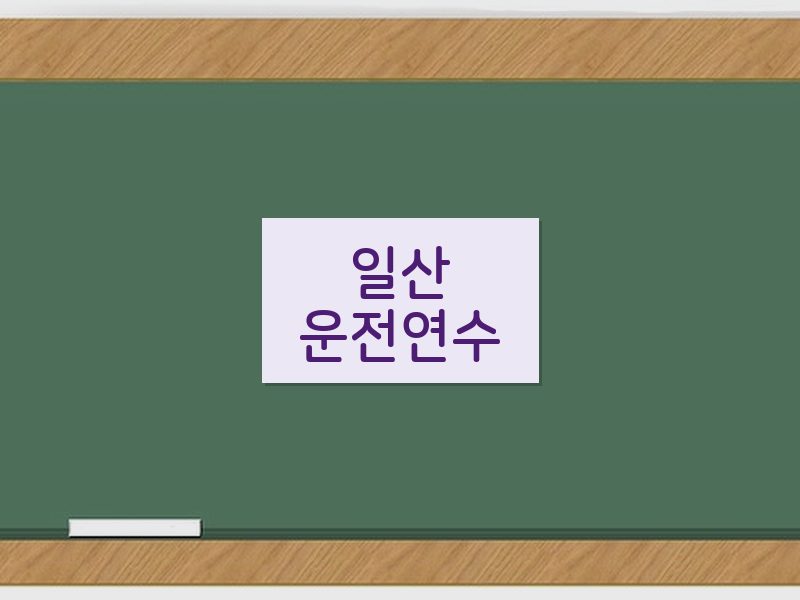 일산운전연수 후기