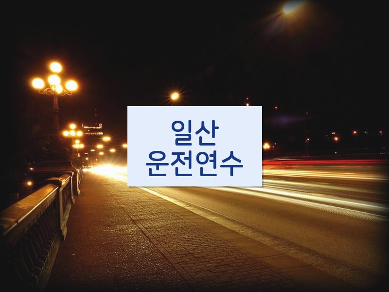 일산운전연수 후기