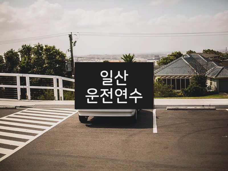 일산운전연수 후기