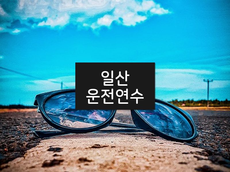 일산운전연수 후기