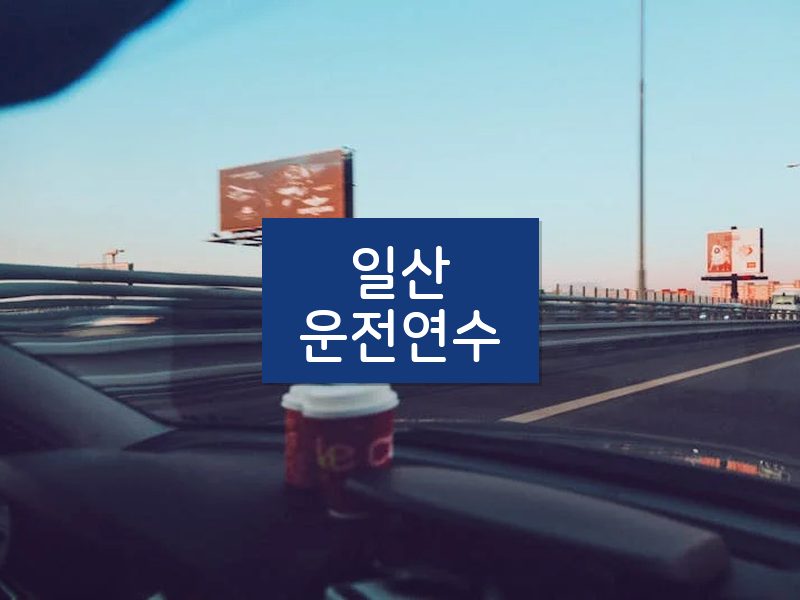 일산운전연수 후기