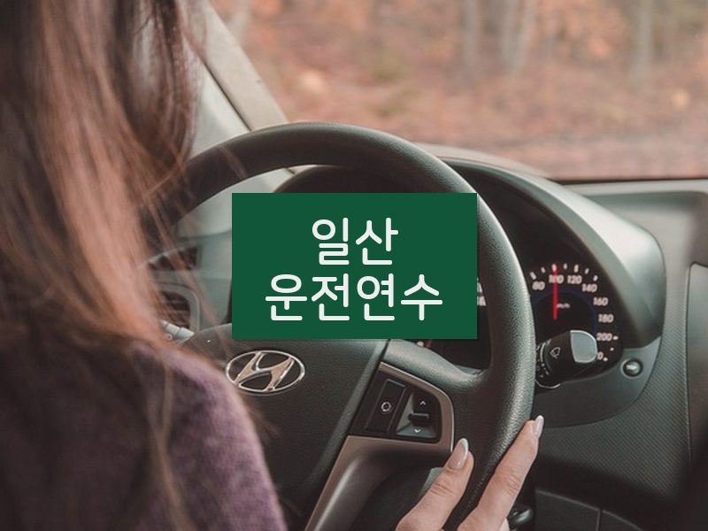 일산운전연수 후기