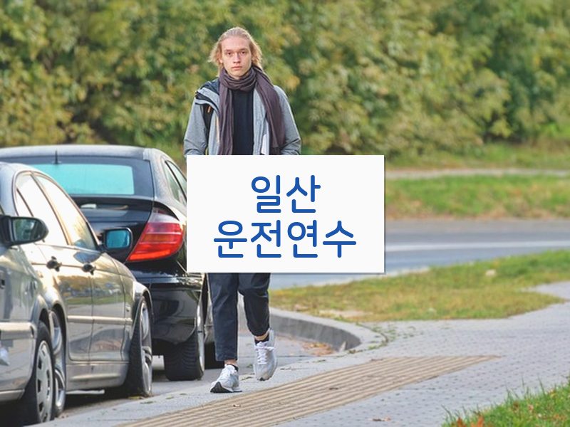 일산운전연수 후기