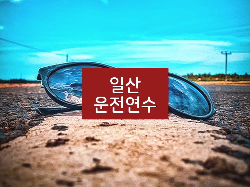 일산운전연수 후기
