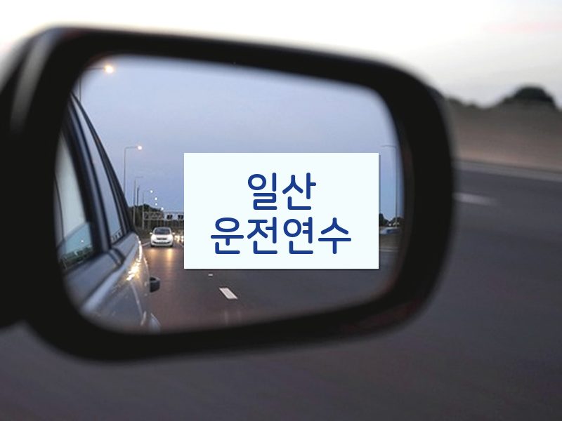 일산운전연수 후기