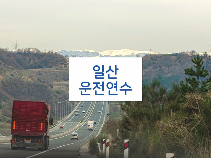 일산운전연수 후기